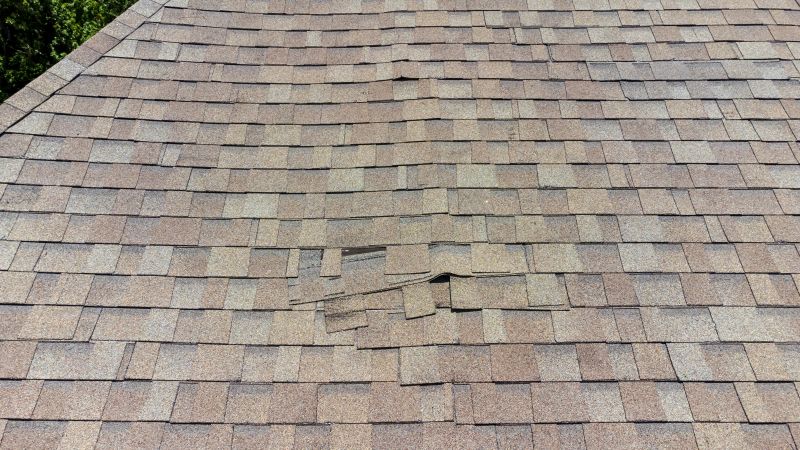 Asphalt Roof Inspection in Stafford County, VA