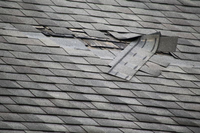 Asphalt Roof Repair in Triangle, VA