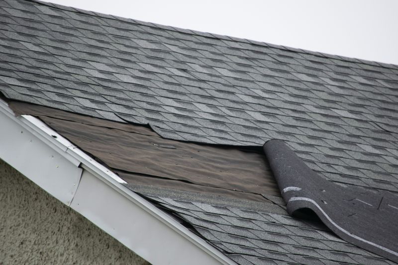 Asphalt Shingles Repair in Catlett, VA