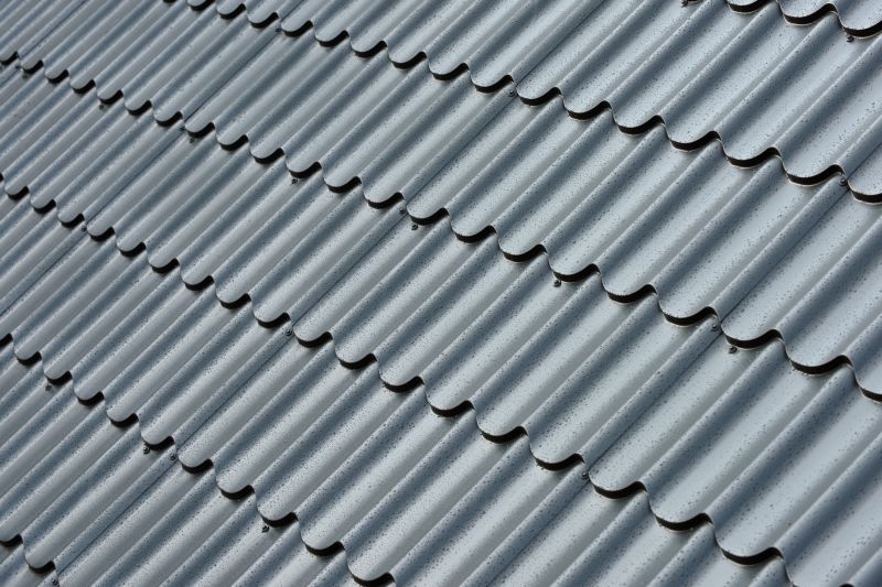 Corrugated Roof Repair in Fauquier County, VA