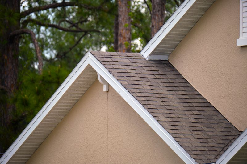 Damaged Roof Repair in Arlington, VA
