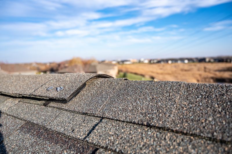 Damaged Roof Repair in Manassas, VA