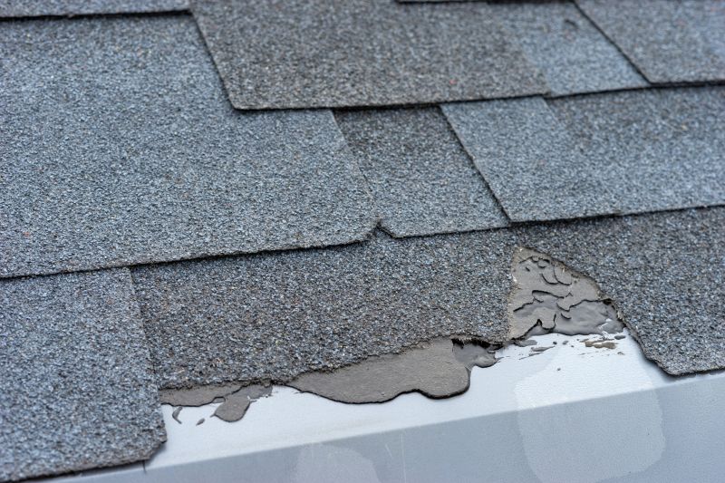 Damaged Roof Repair in Stafford County, VA