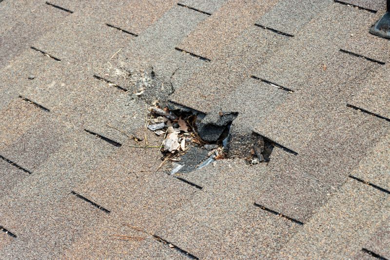 Damaged Roof Replacement in Fairfax, VA