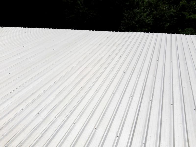 Galvanized Roof Repair in Prince William County, VA