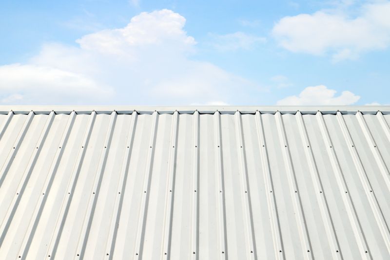 Metal Roof Coating Service in Prince William County, VA