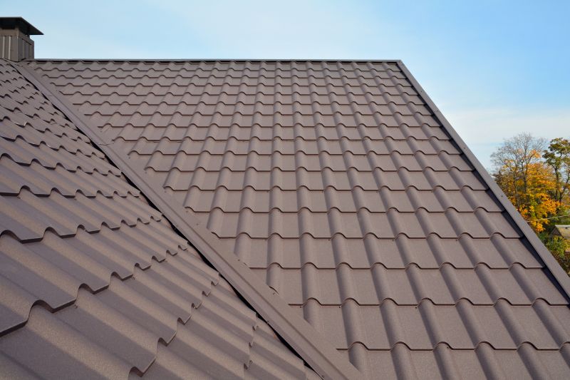 Metal Roof Installation in Manassas, VA