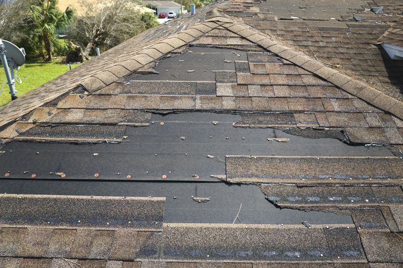 Roof Hail Damage Repair in Prince William County, VA