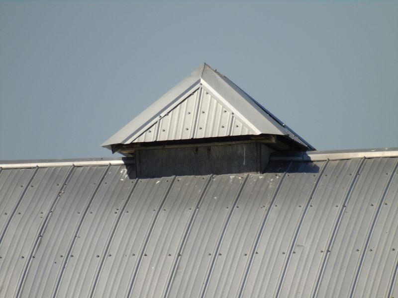 Tin Roof Installation in Arlington, VA