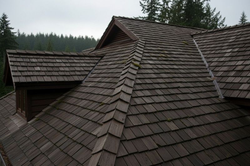 Wood Shake Roof Replacement in Arlington County, VA