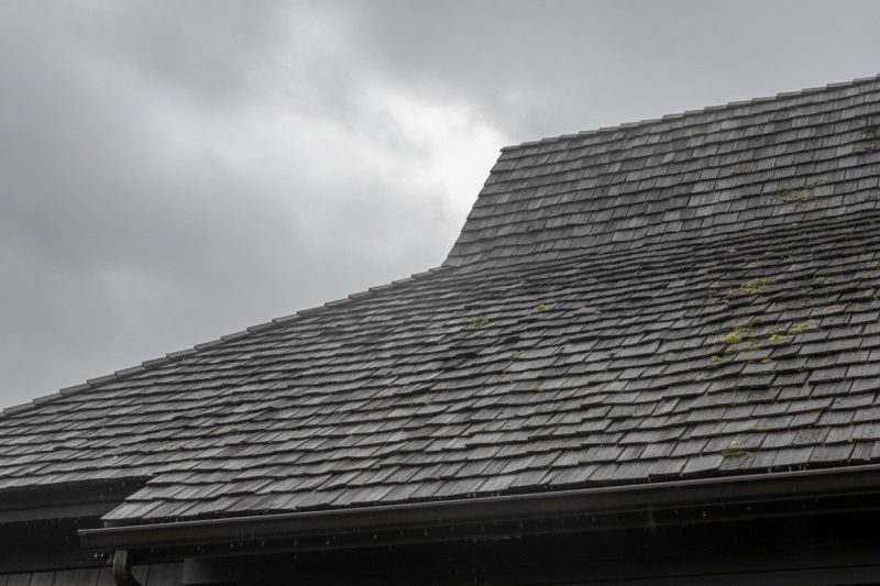 Wood Shake Roof Replacement in Reston, VA